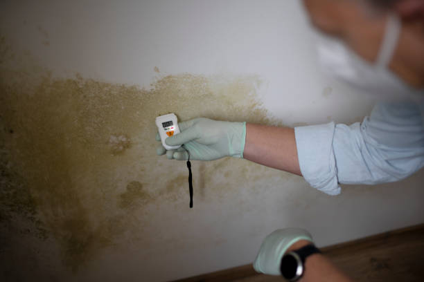 Mold Remediation for Historic Buildings