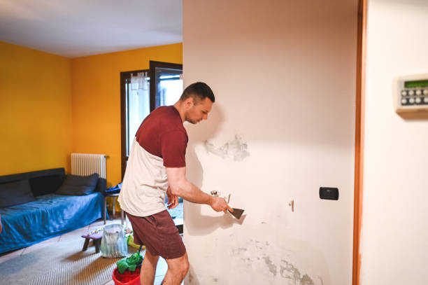 Best Post-Remediation Services in Alma, GA
